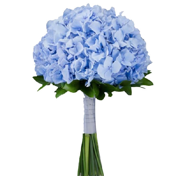 Ramo de novia hortensia 