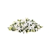 Ramo funebre de Lirios blancos