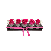 Arreglo de 5 Rosas