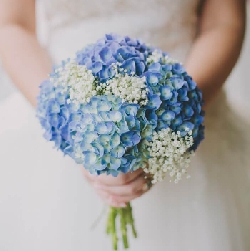 Ramo de novia de hortensia 